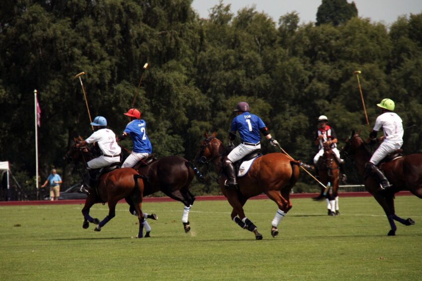 Equestrian Polo